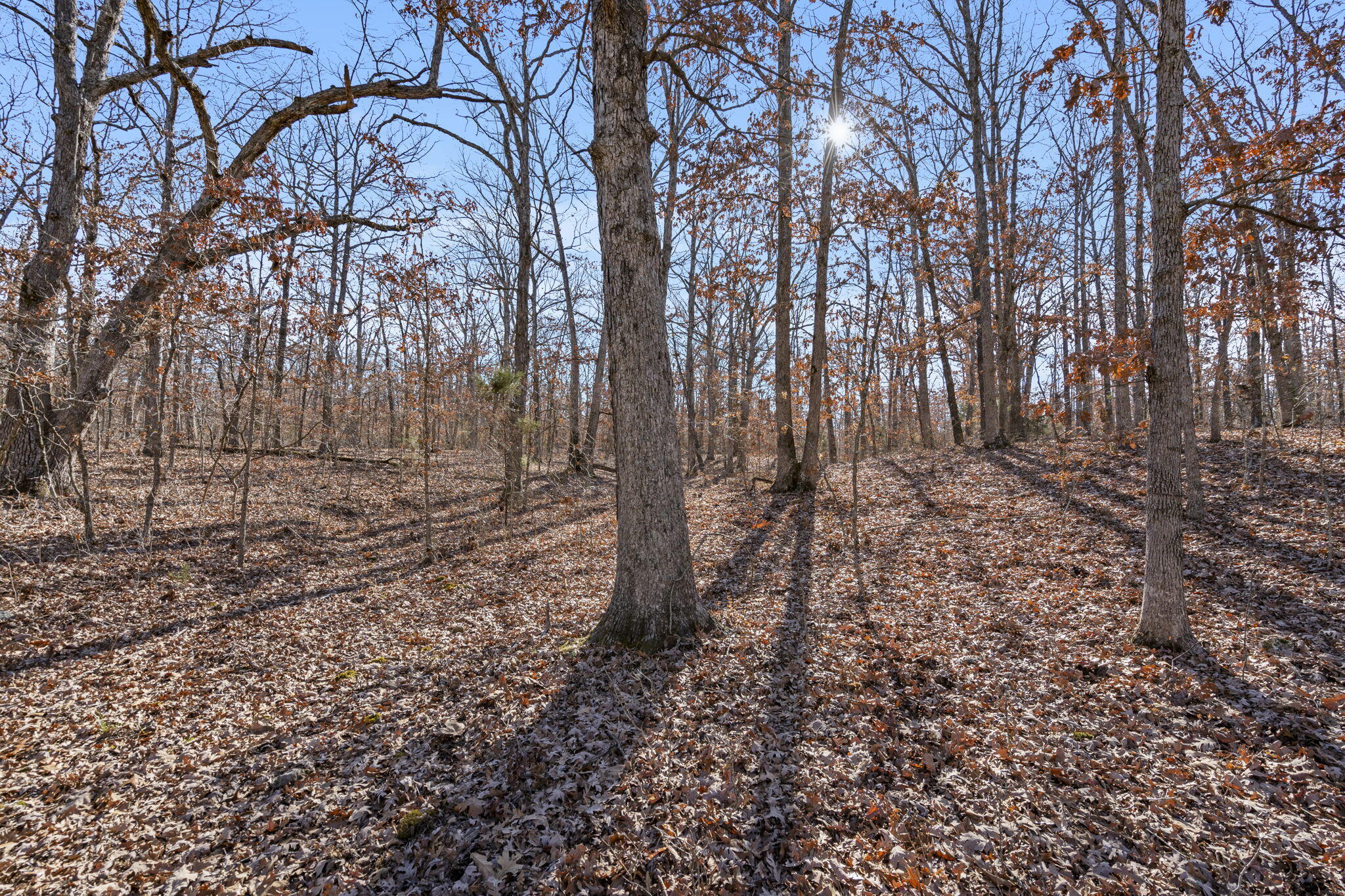 000 County Road B-250 Property Photo 11