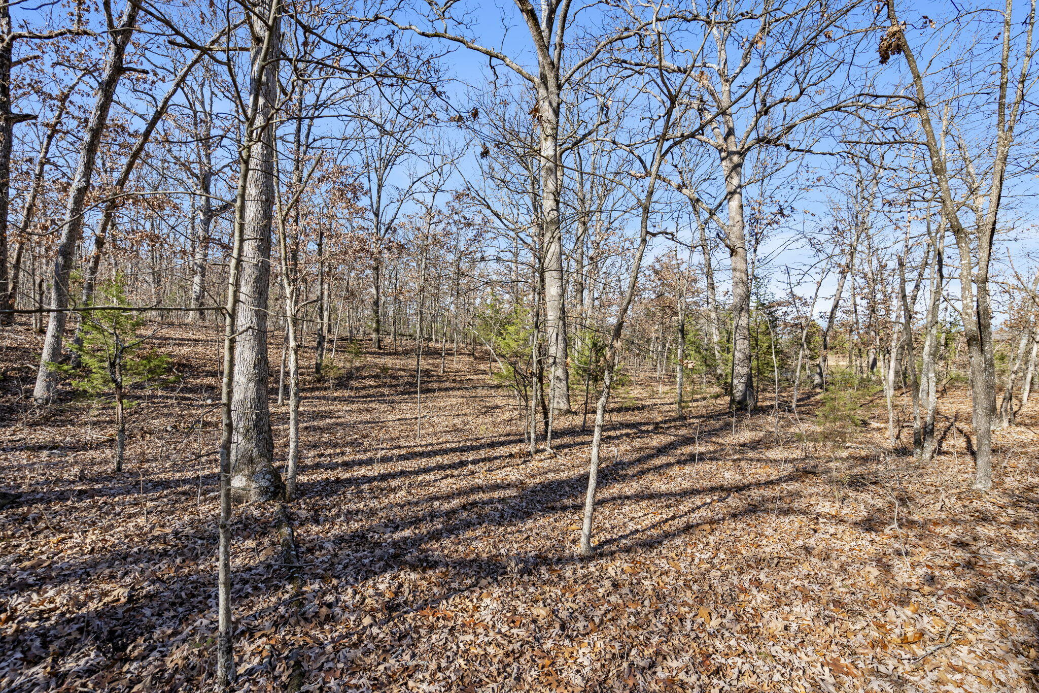 000 County Road B-250 Property Photo 12
