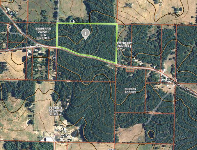 000 County Road B-250 Property Photo 15