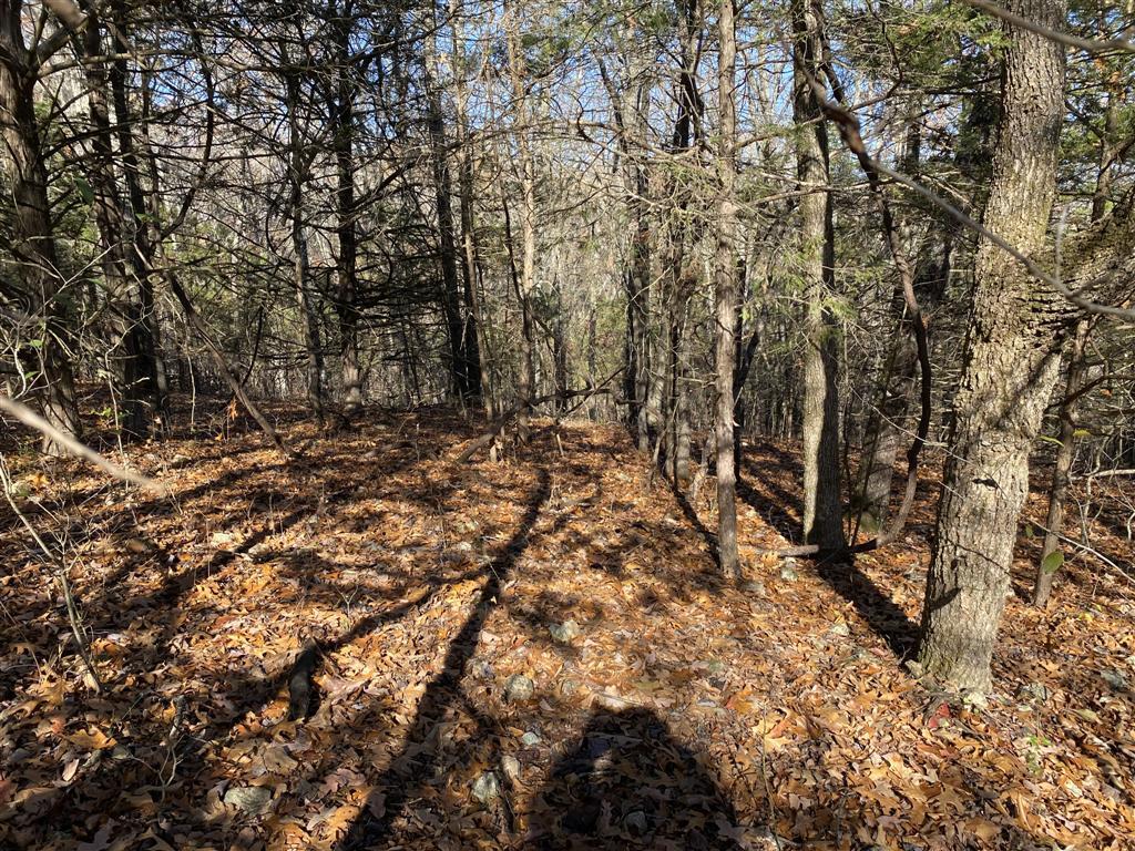 Lot 14 Ance Acres Lane Property Photo 3