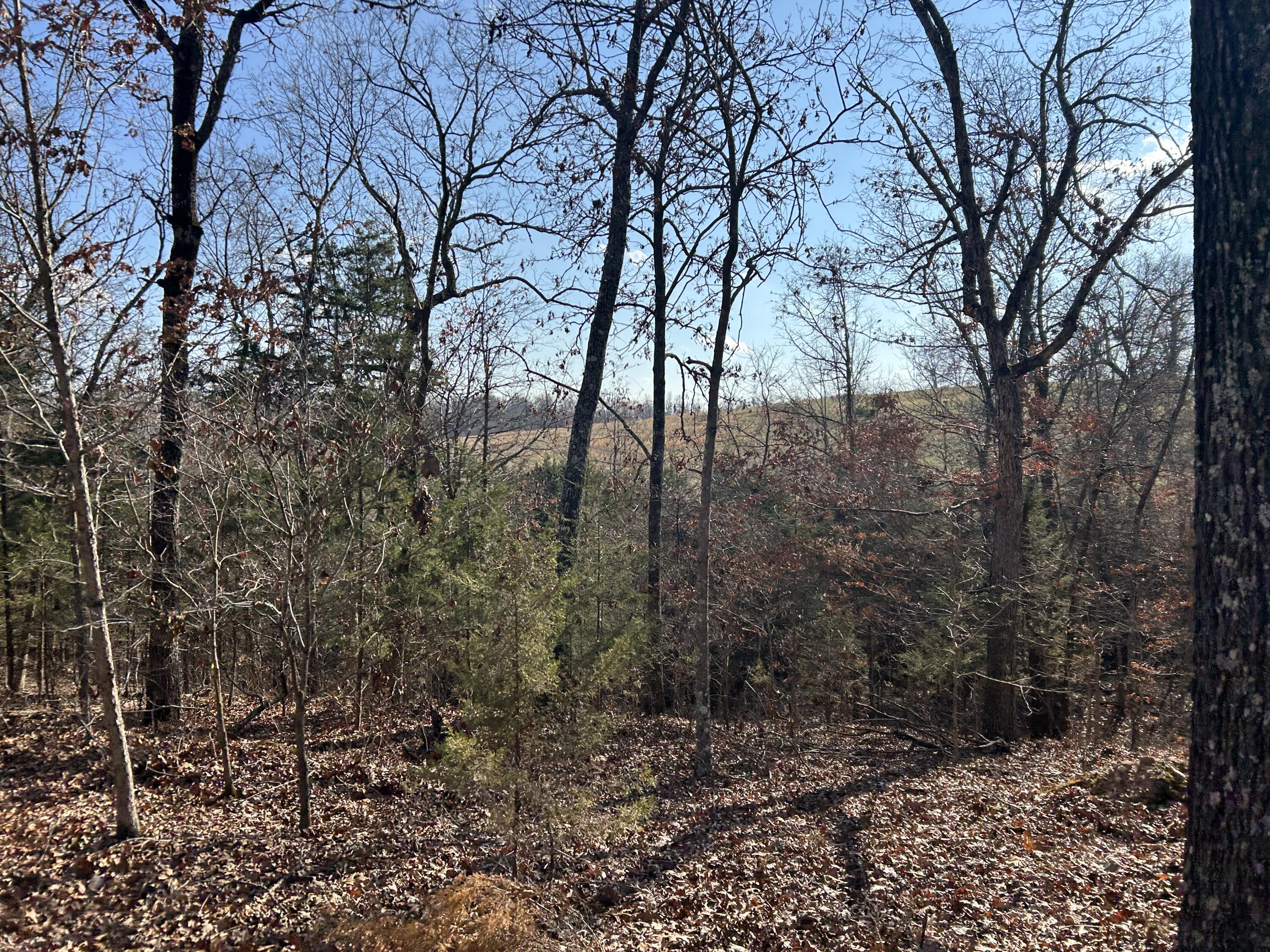 356 Rocky Ridge Lane Property Photo 4