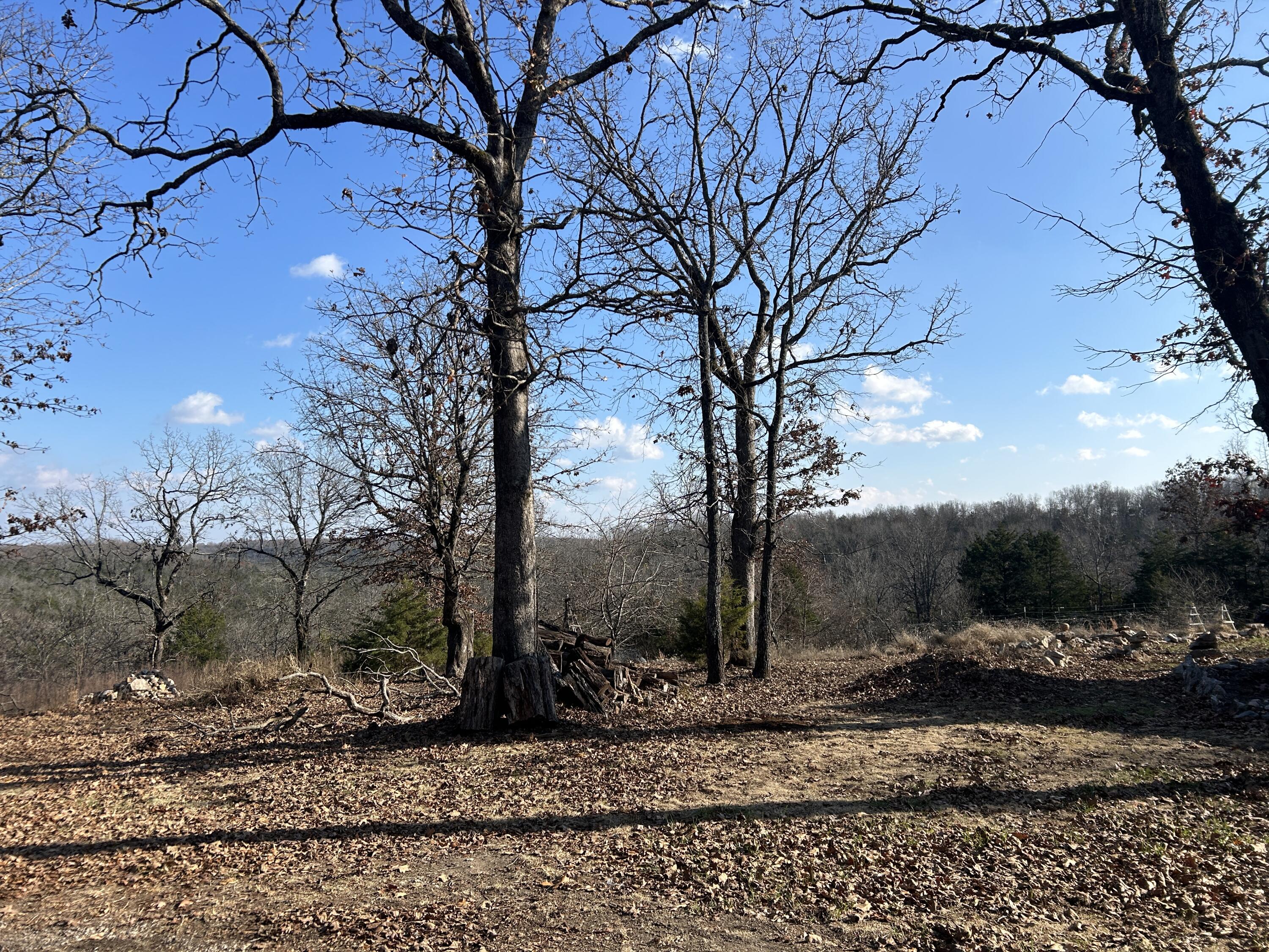 356 Rocky Ridge Lane Property Photo 15