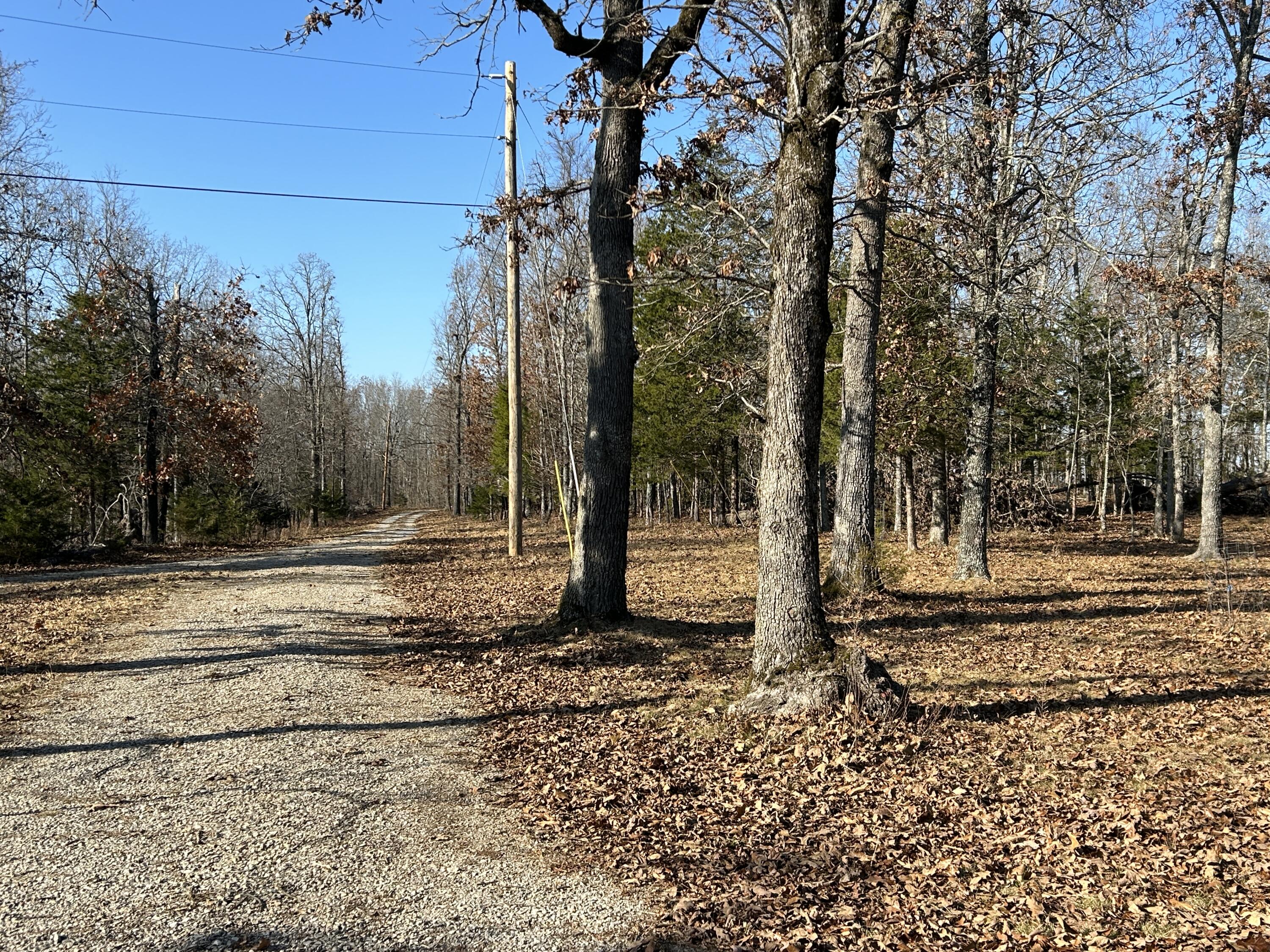 356 Rocky Ridge Lane Property Photo 61