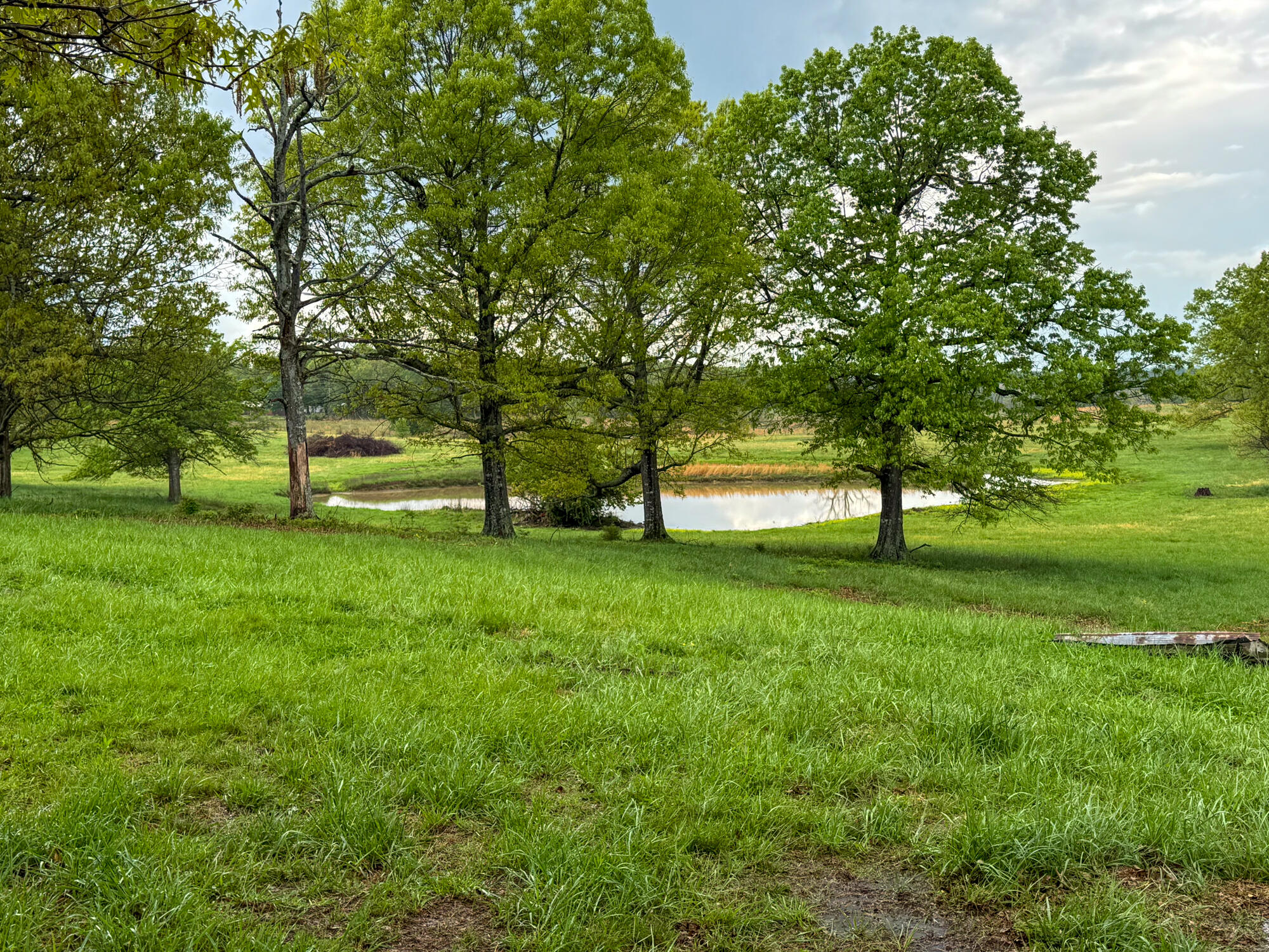 12413 State Route Pp Property Photo 1
