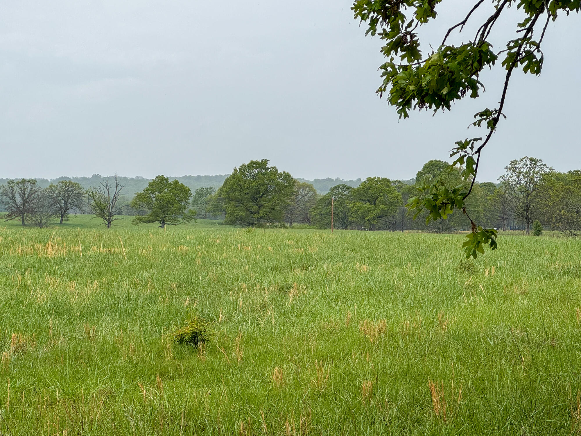 12413 State Route Pp Property Photo 3