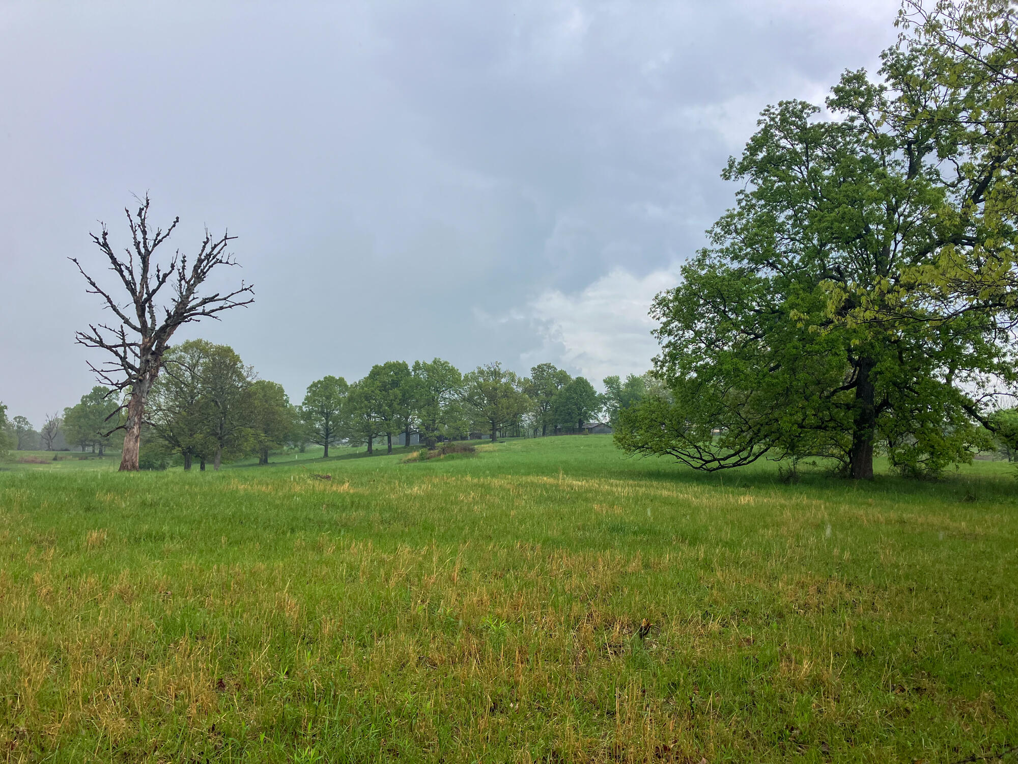 12413 State Route Pp Property Photo 9