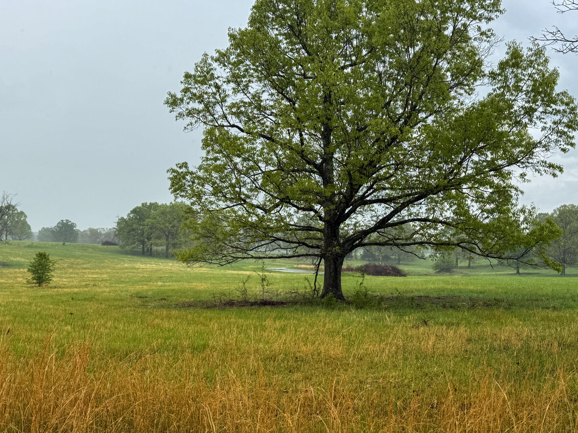 12413 State Route Pp Property Photo 15