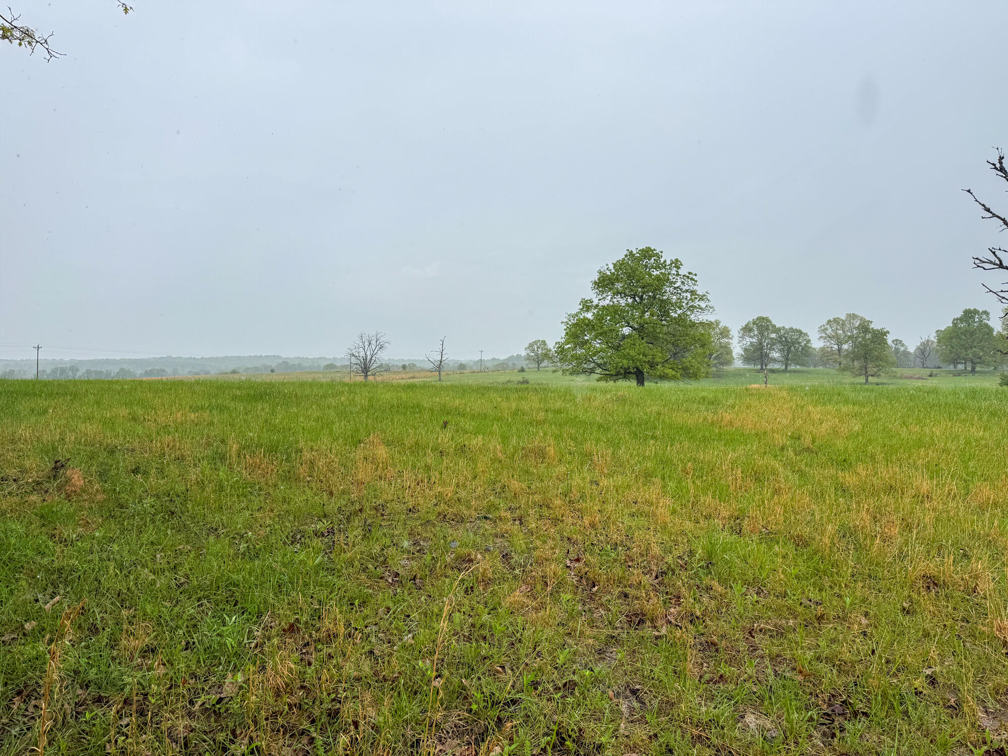 12413 State Route Pp Property Photo 16