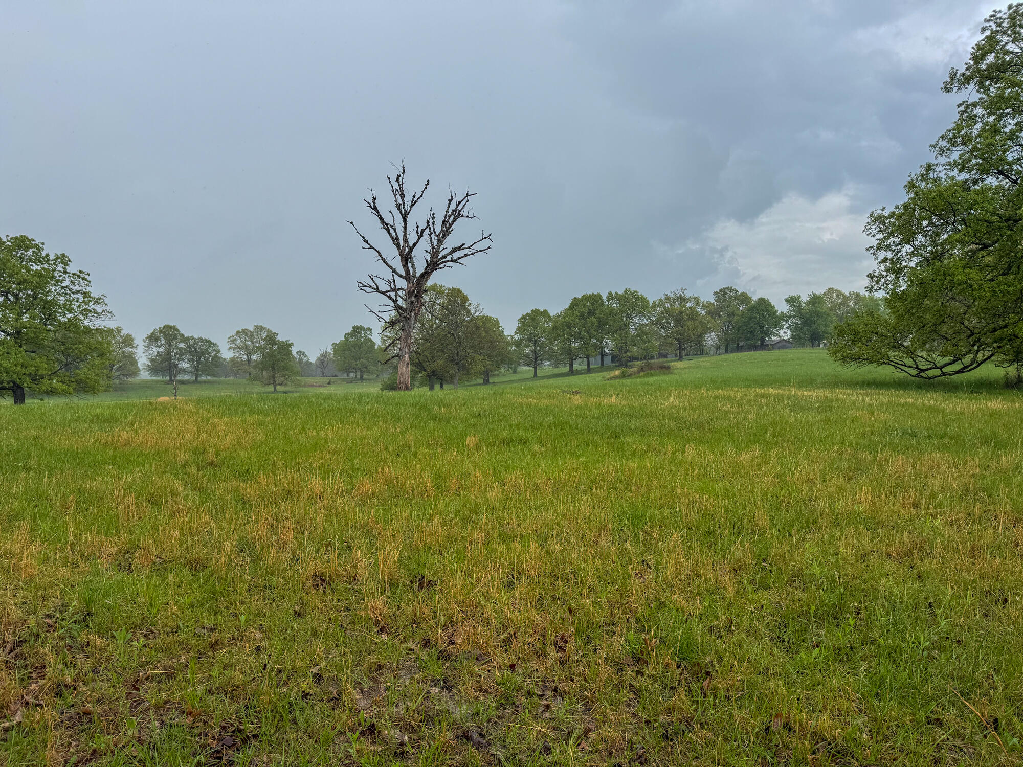 12413 State Route Pp Property Photo 17