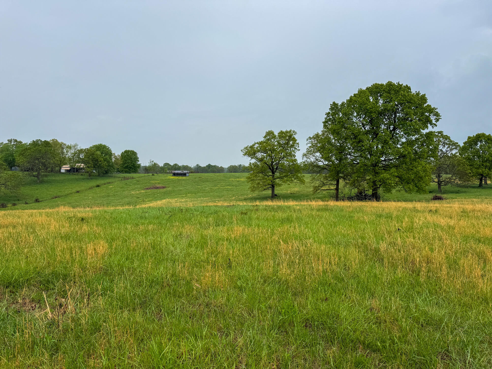 12413 State Route Pp Property Photo 19