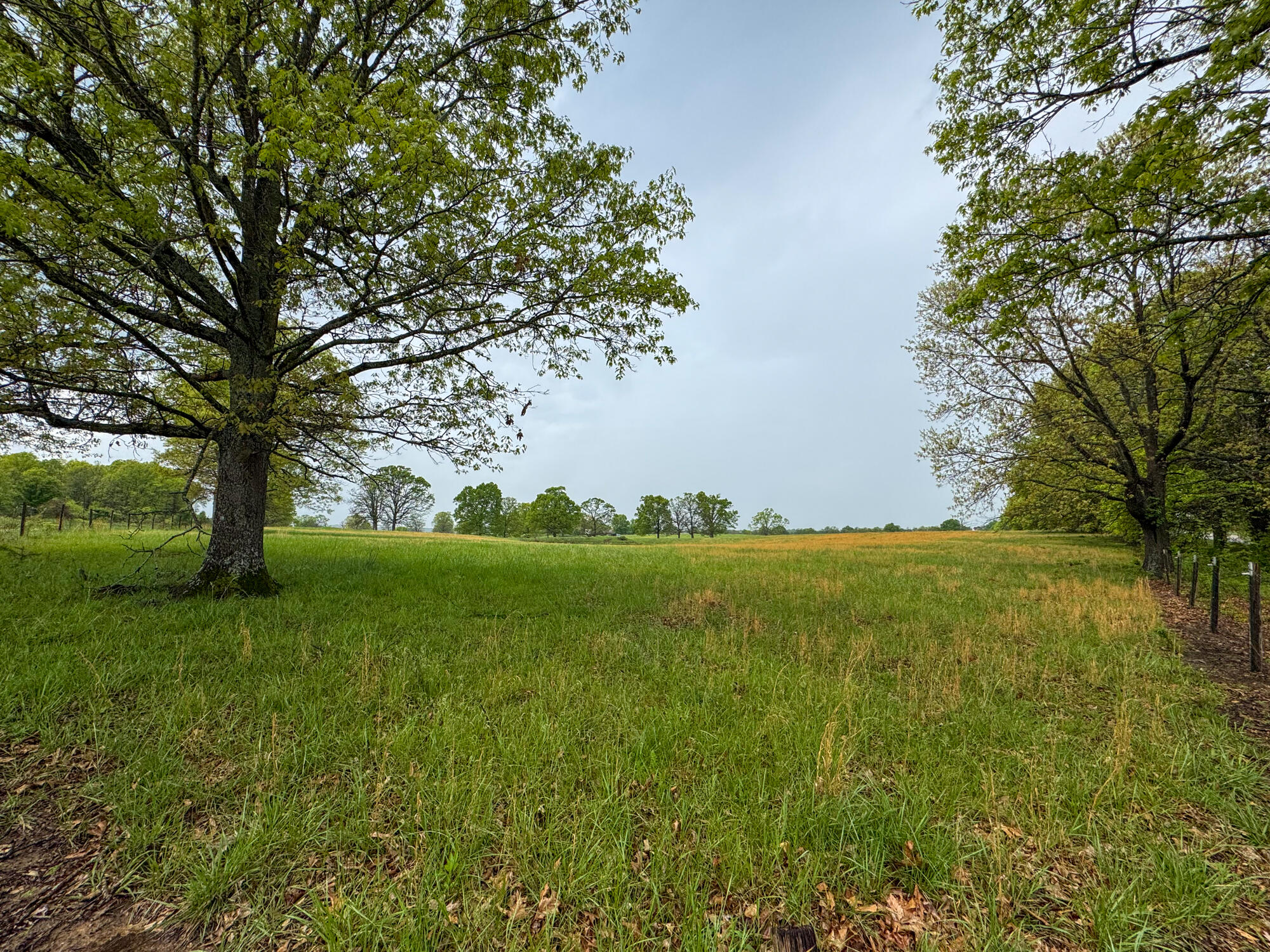 12413 State Route Pp Property Photo 25