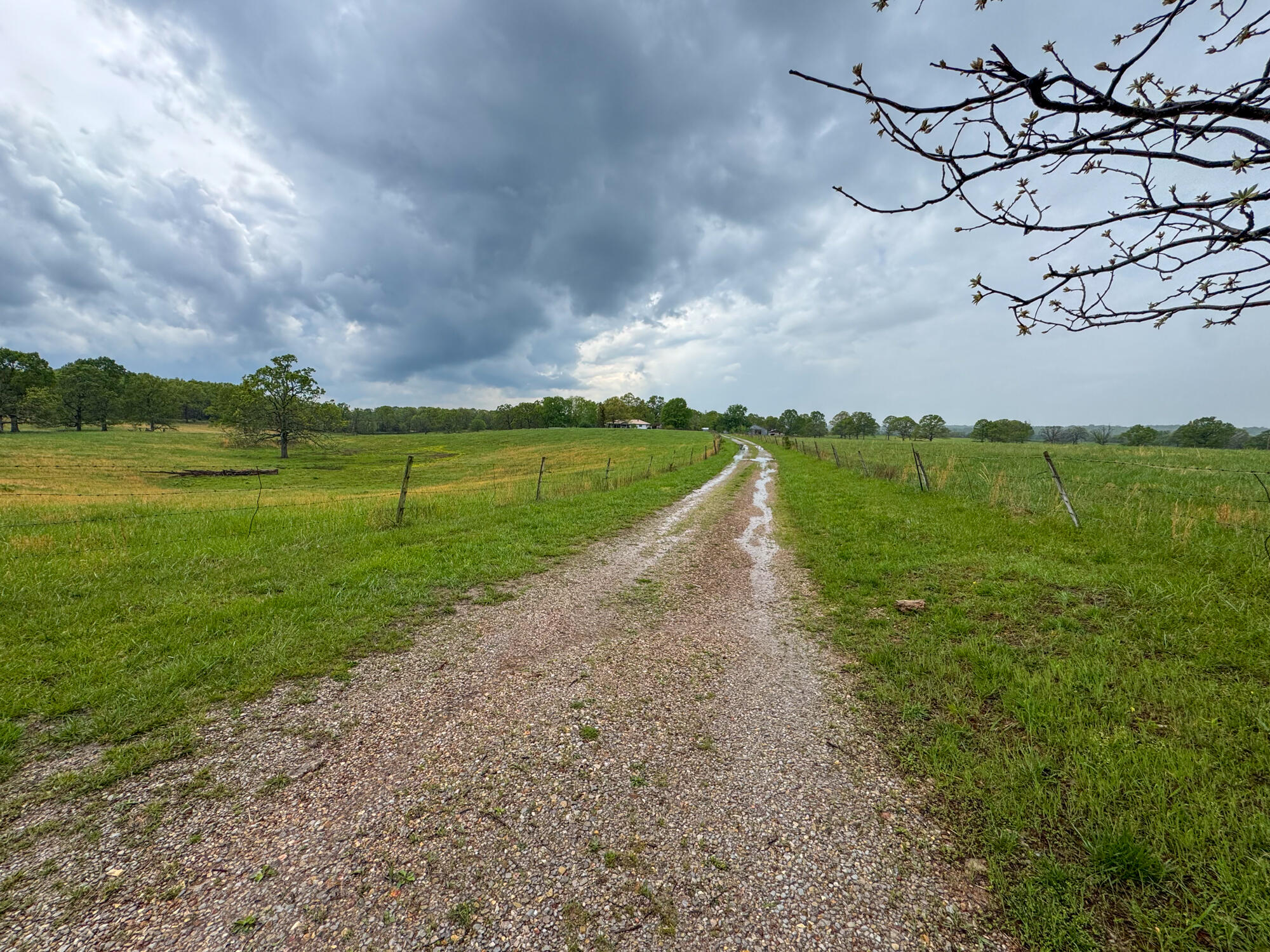 12413 State Route Pp Property Photo 27