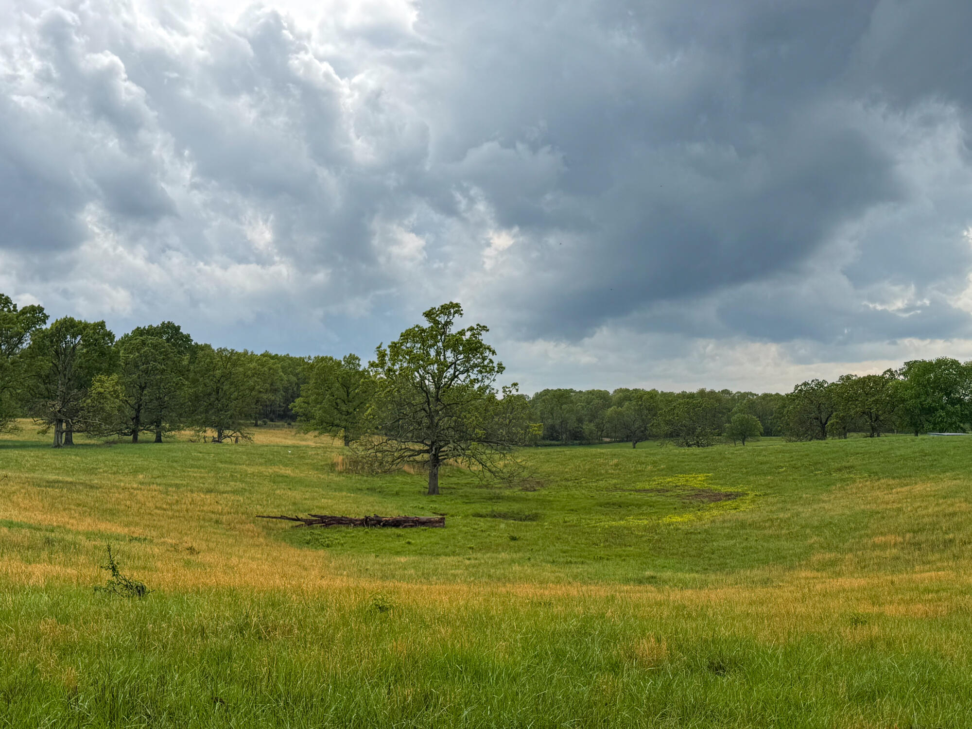 12413 State Route Pp Property Photo 28