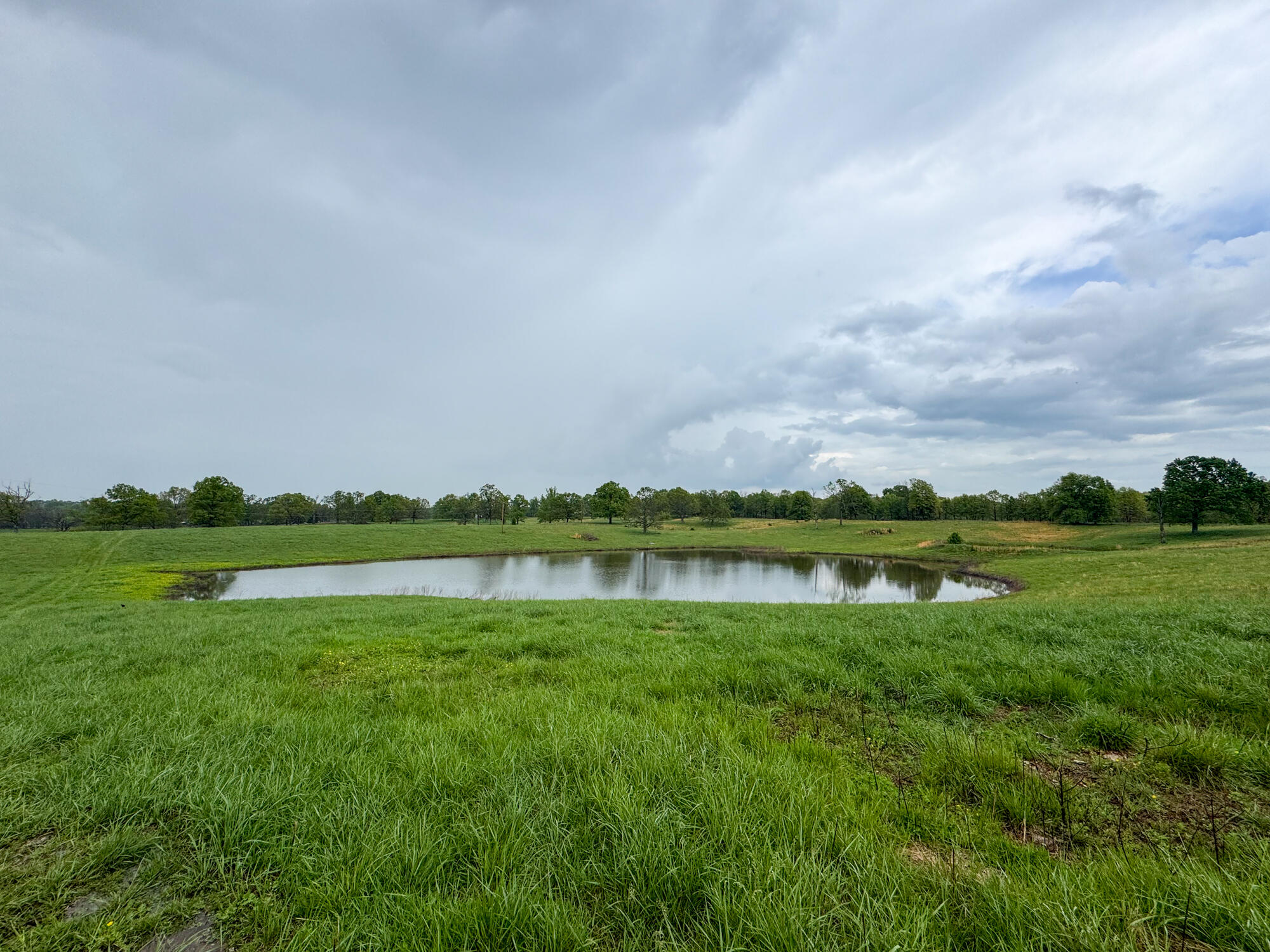 12413 State Route Pp Property Photo 29