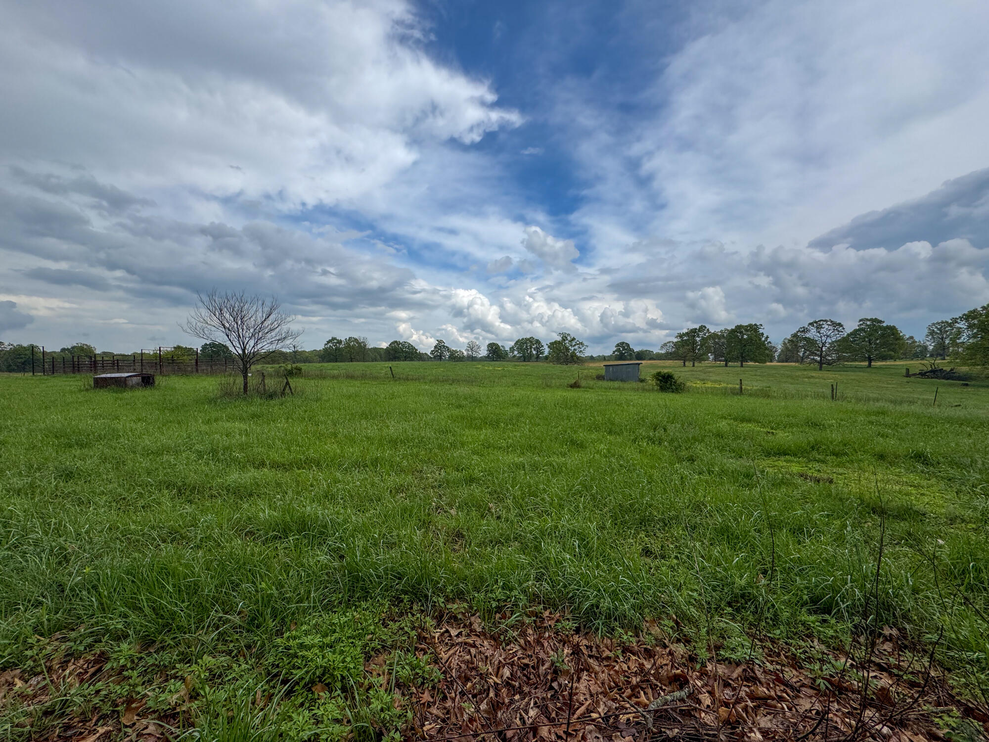 12413 State Route Pp Property Photo 30