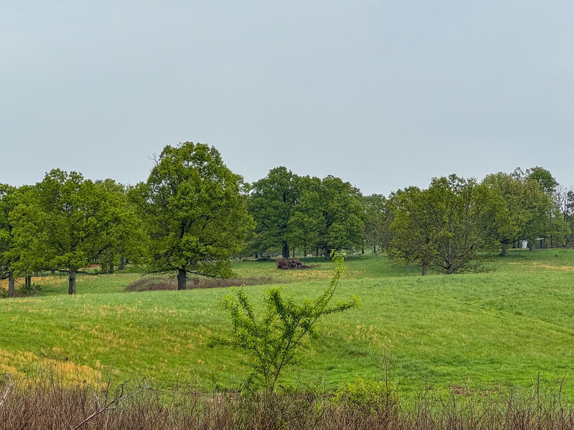 12413 State Route Pp Property Photo 32
