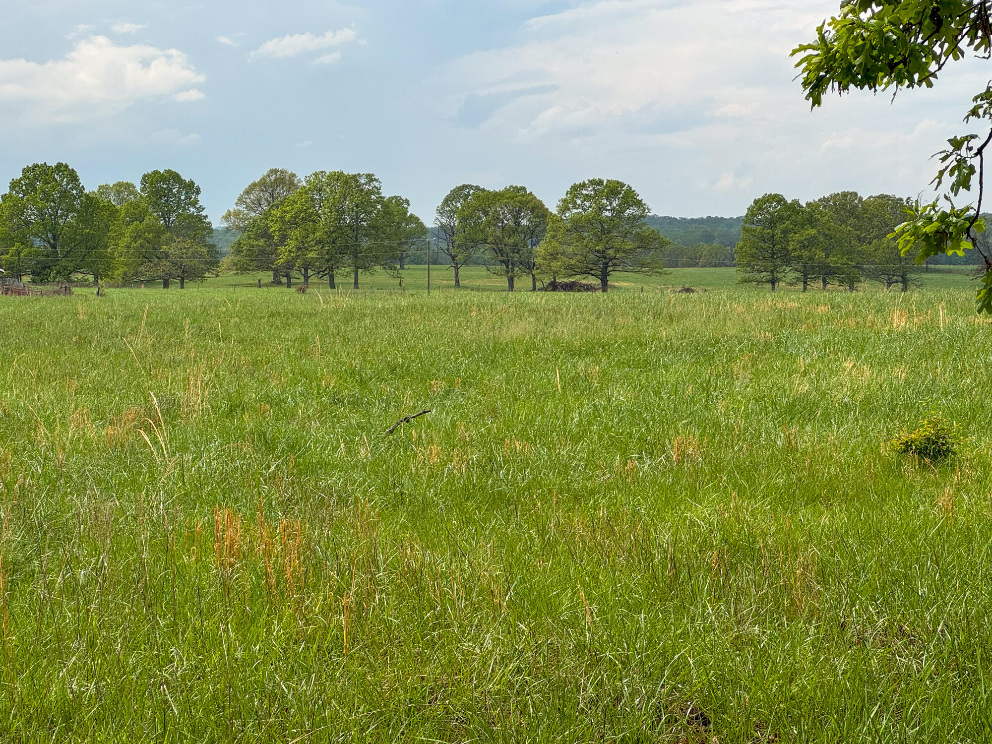 12413 State Route Pp Property Photo 33