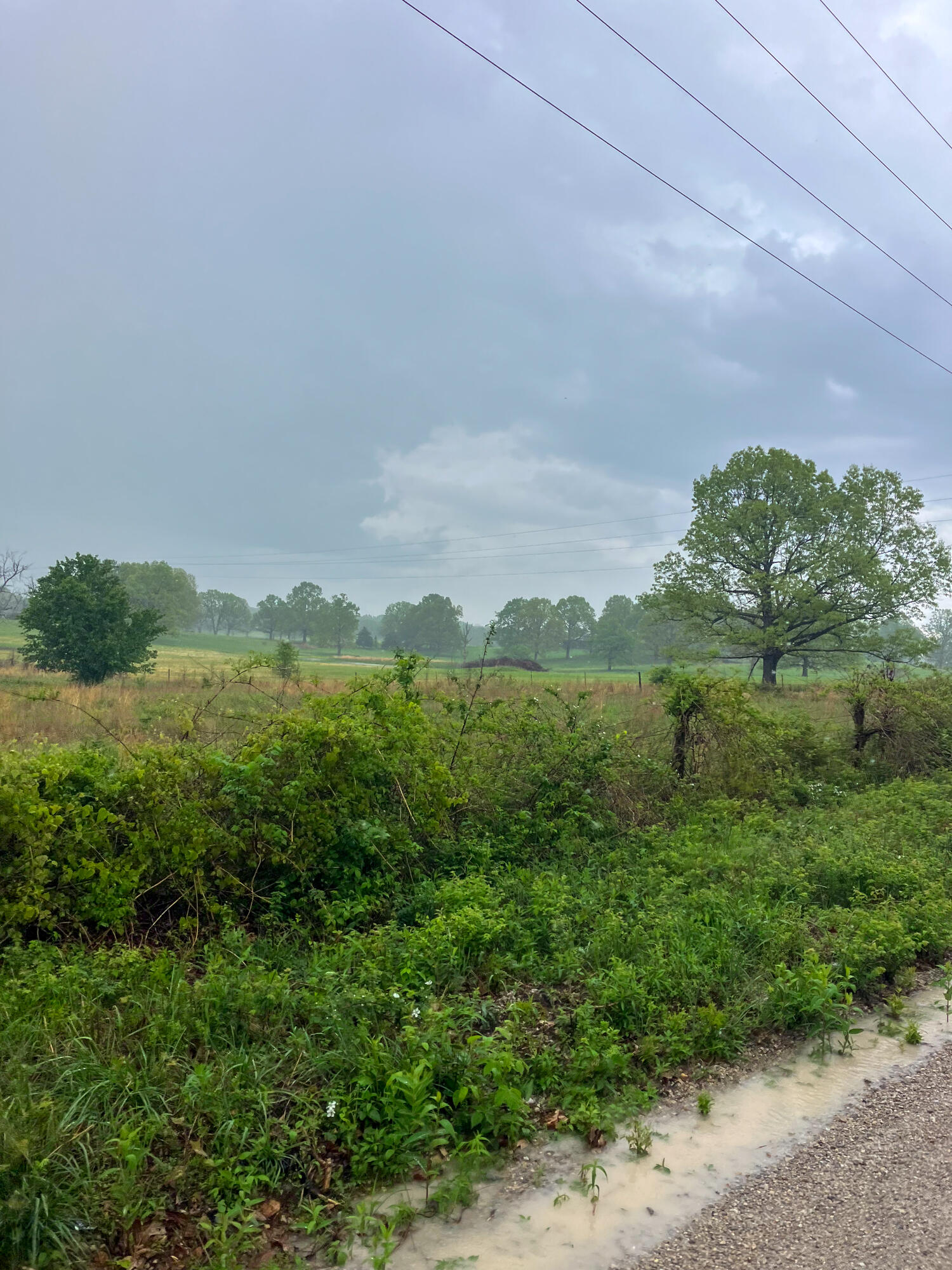 12413 State Route Pp Property Photo 34
