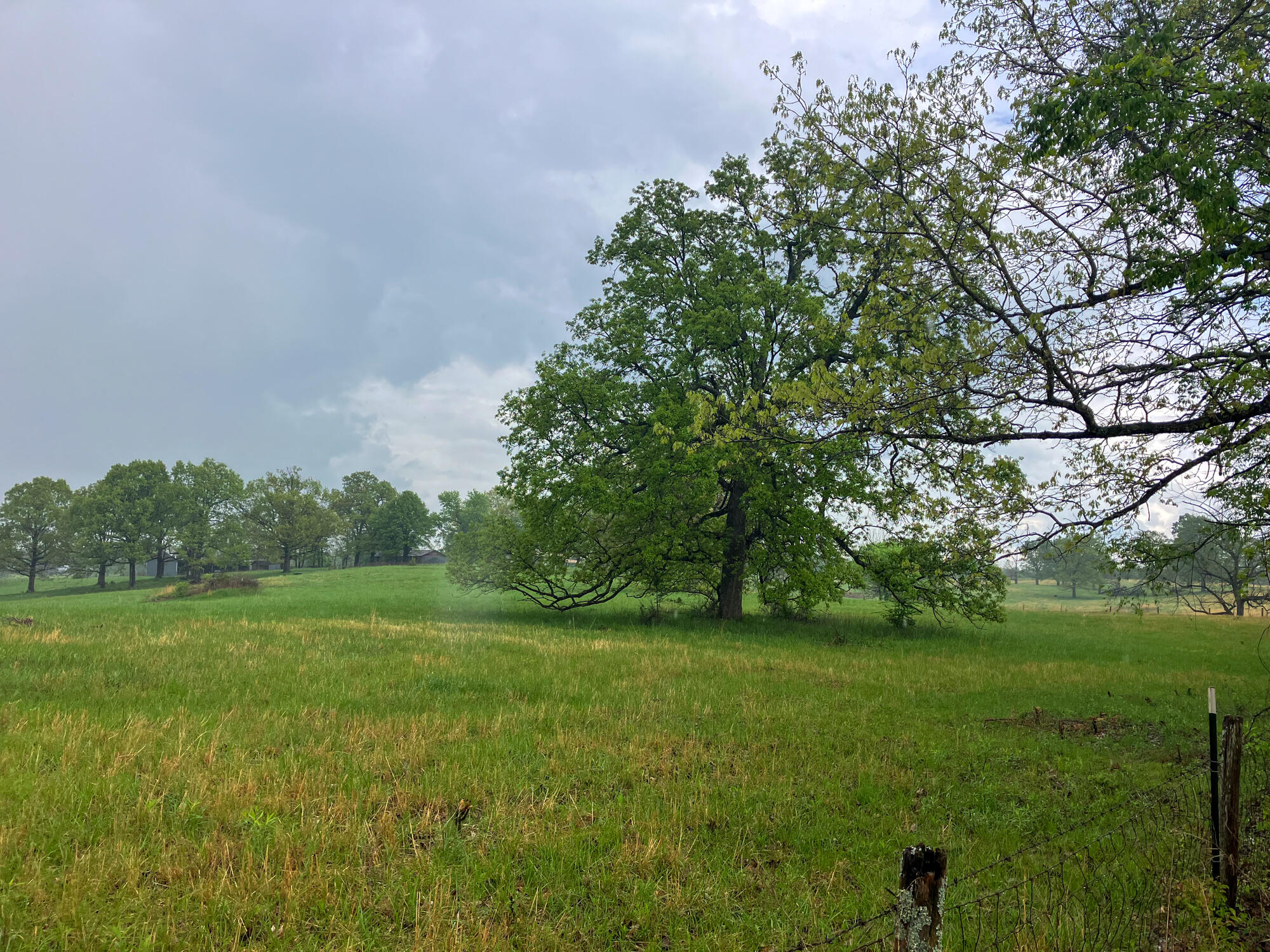 12413 State Route Pp Property Photo 36