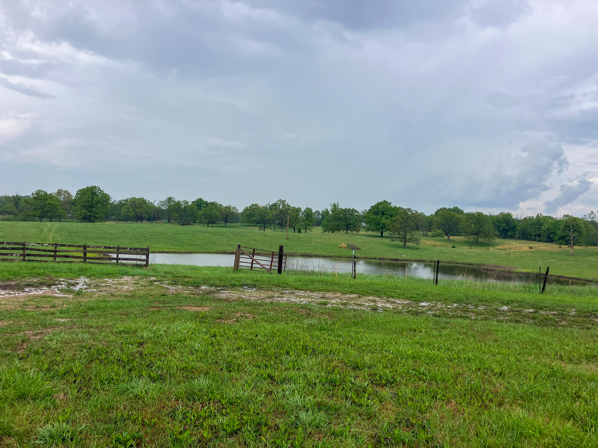 12413 State Route Pp Property Photo 38