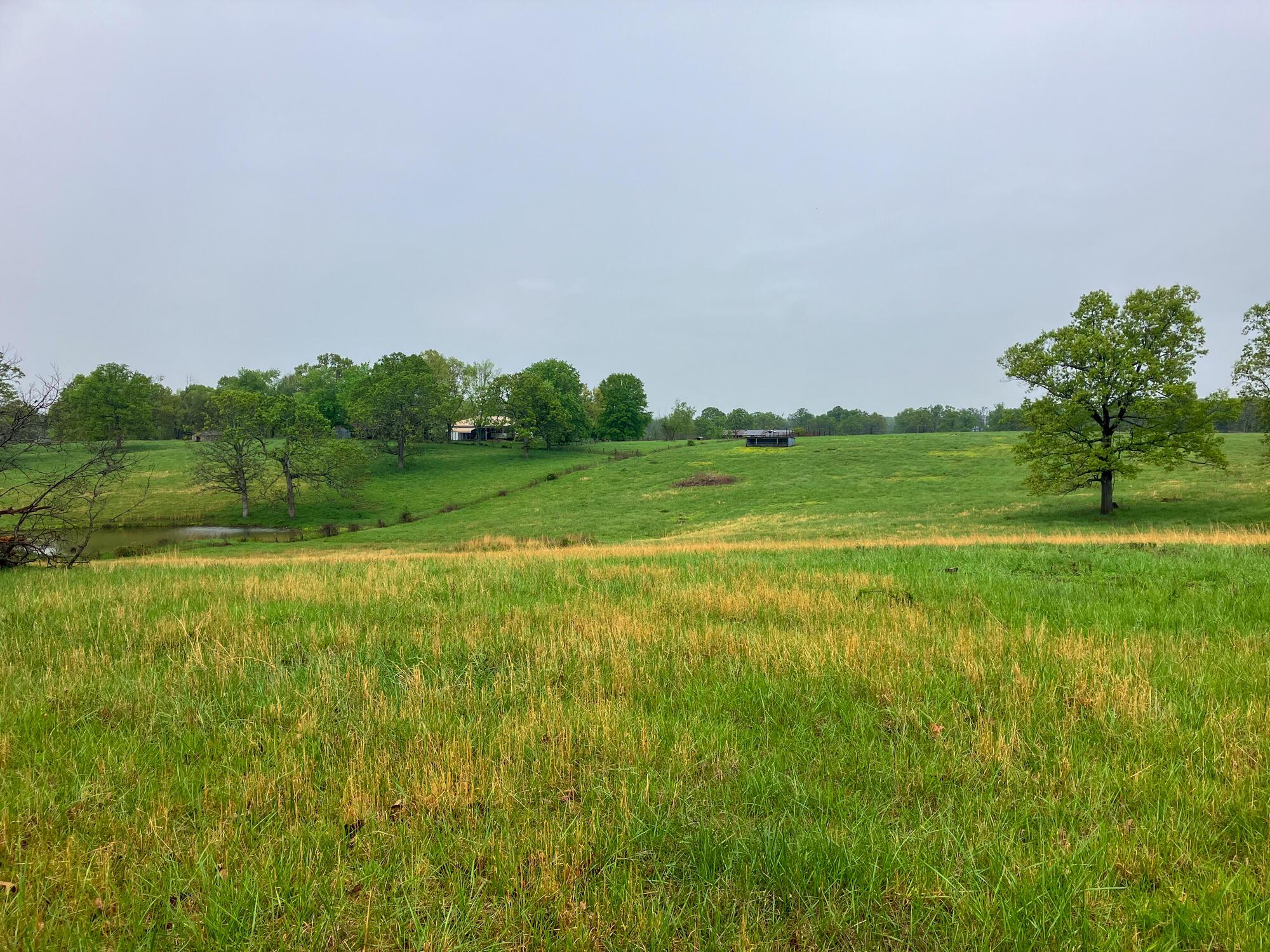 12413 State Route Pp Property Photo 42