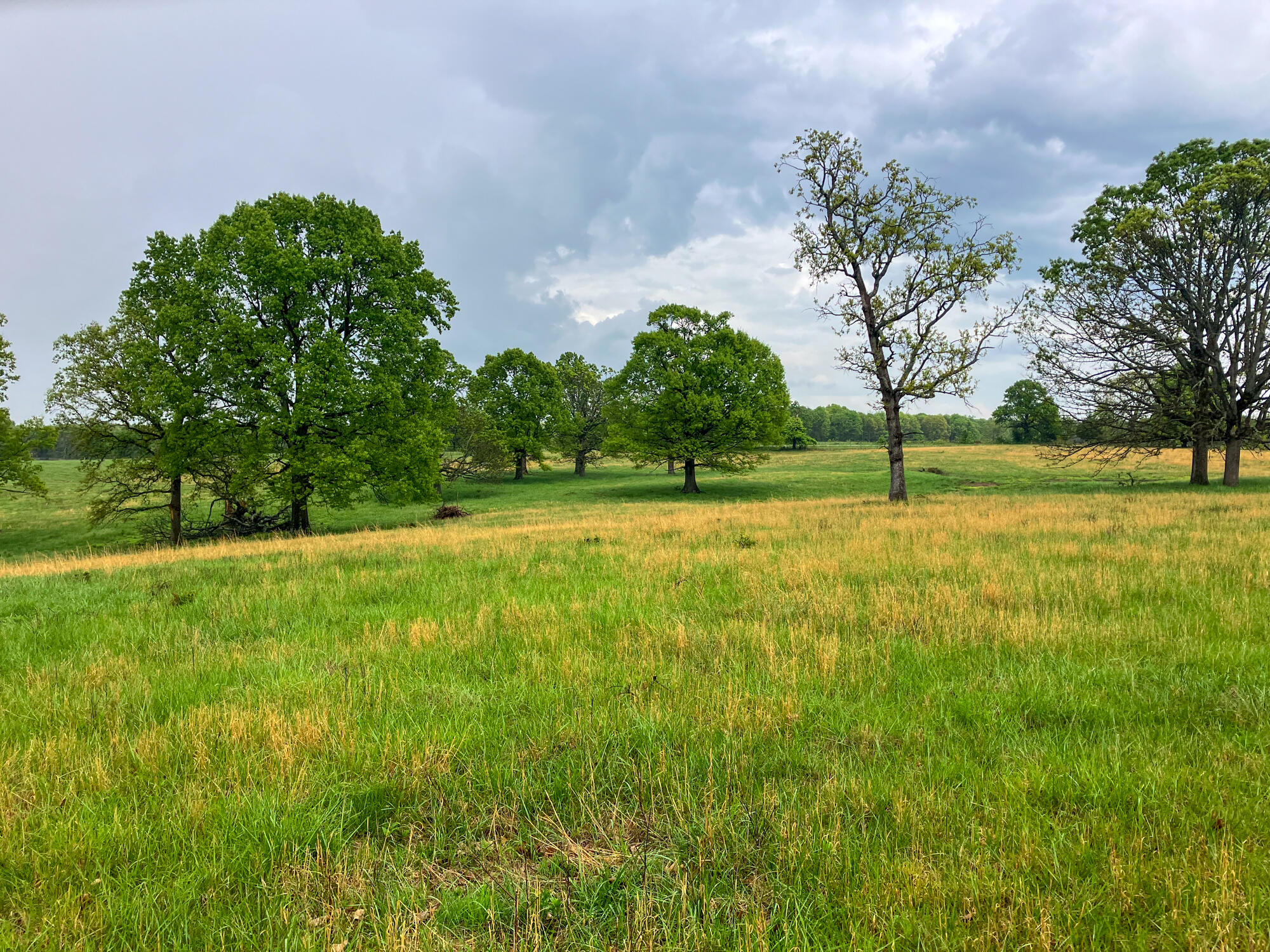 12413 State Route Pp Property Photo 43