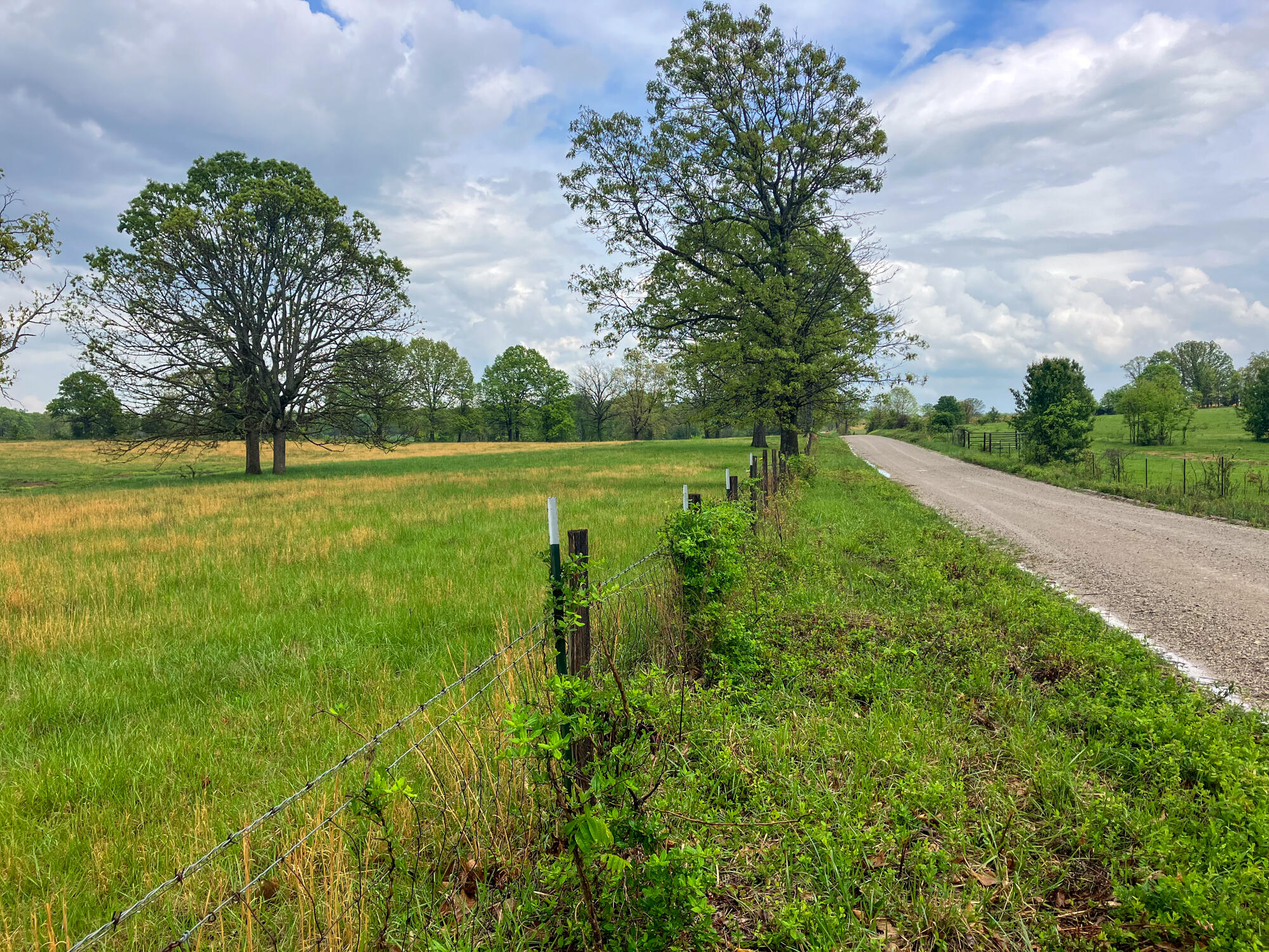12413 State Route Pp Property Photo 44