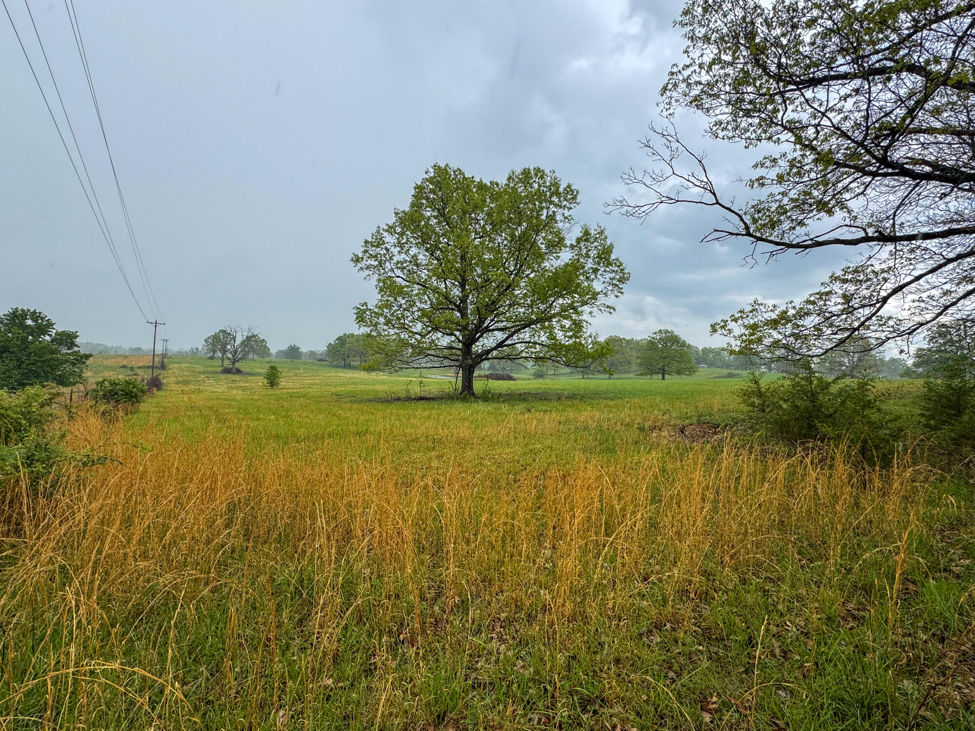 12413 State Route Pp Property Photo 22