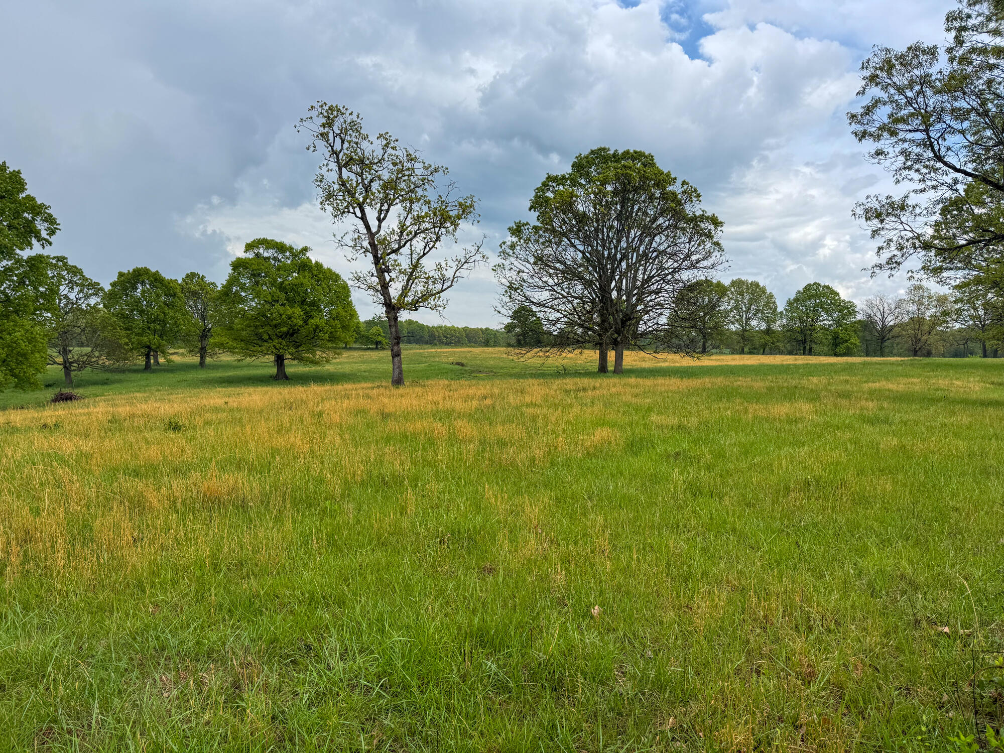 12413 State Route Pp Property Photo 25