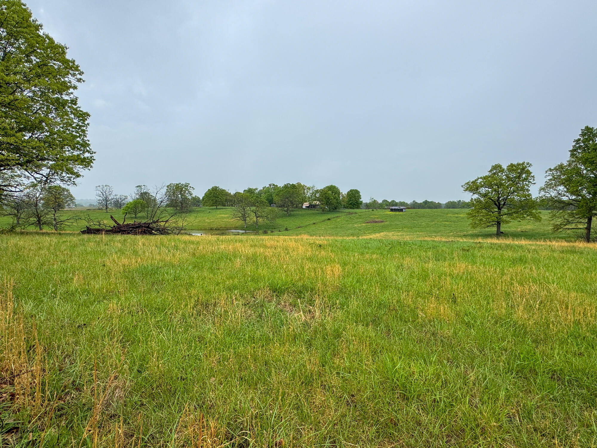 12413 State Route Pp Property Photo 27