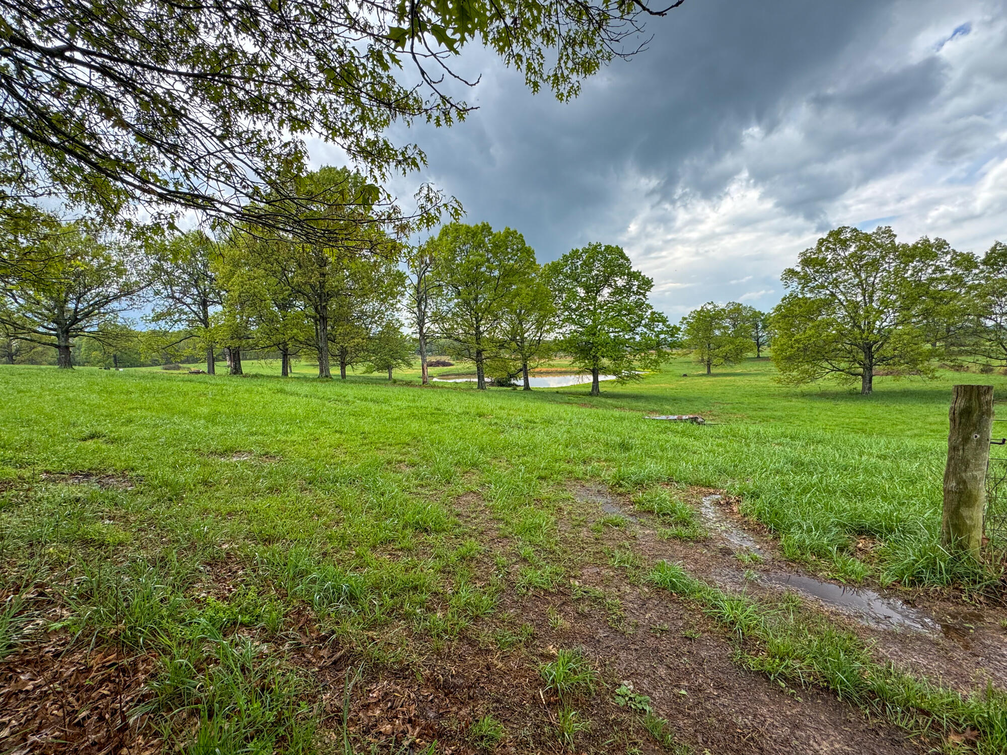 12413 State Route Pp Property Photo 37