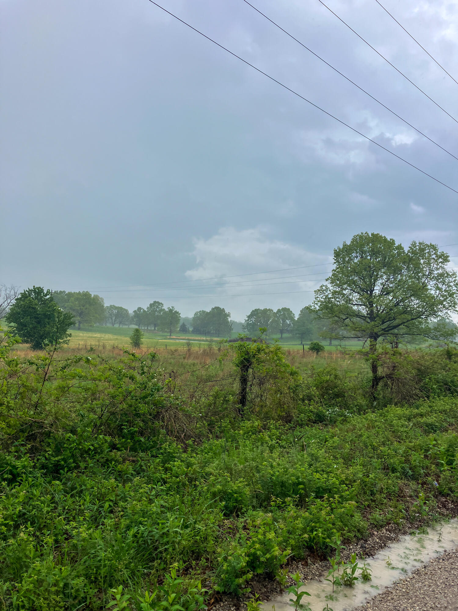12413 State Route Pp Property Photo 41