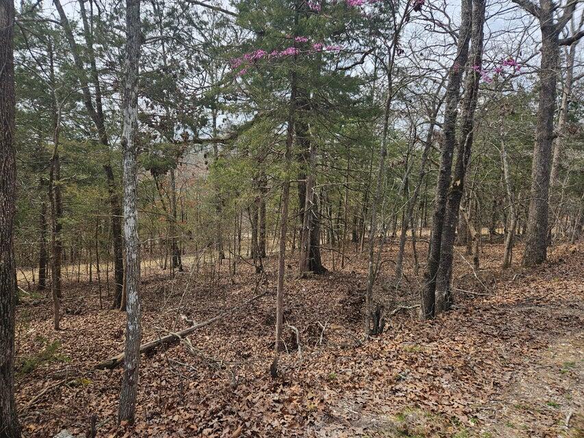 000 Tbd Cedar Hills Property Photo 18