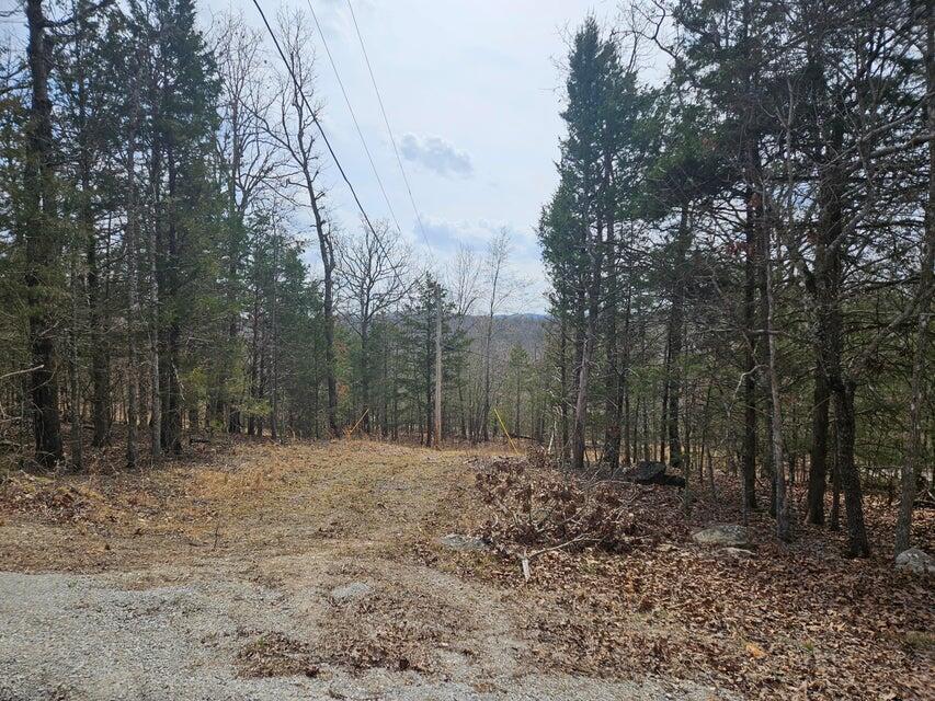 000 Tbd Cedar Hills Property Photo 19