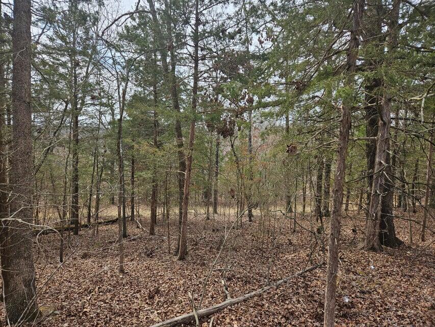 000 Tbd Cedar Hills Property Photo 20