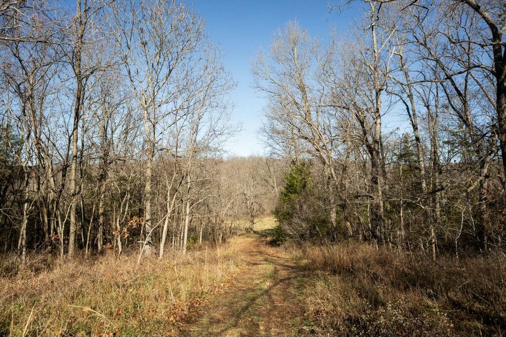 000 County Road A-100 Property Photo 5