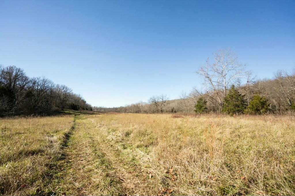 000 County Road A-100 Property Photo 6