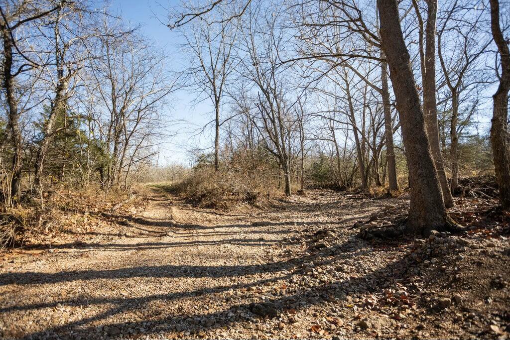 000 County Road A-100 Property Photo 8