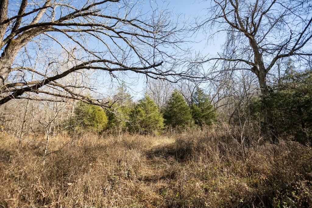 000 County Road A-100 Property Photo 10