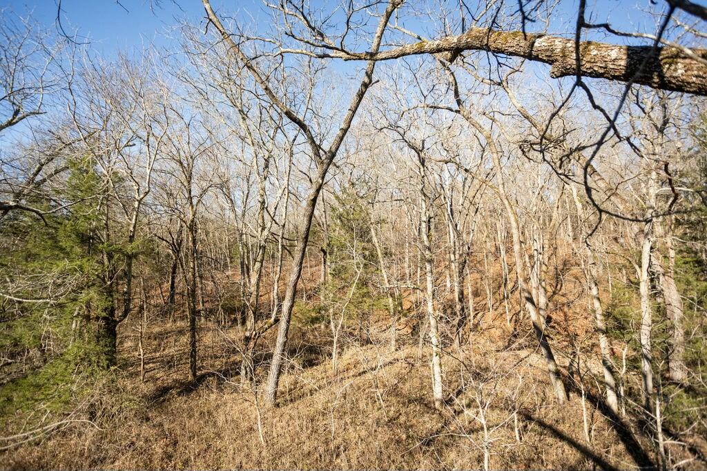 000 County Road A-100 Property Photo 12
