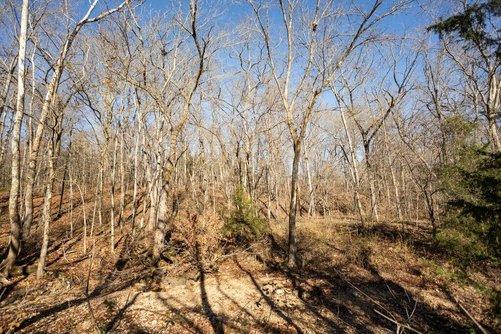 000 County Road A-100 Property Photo 14