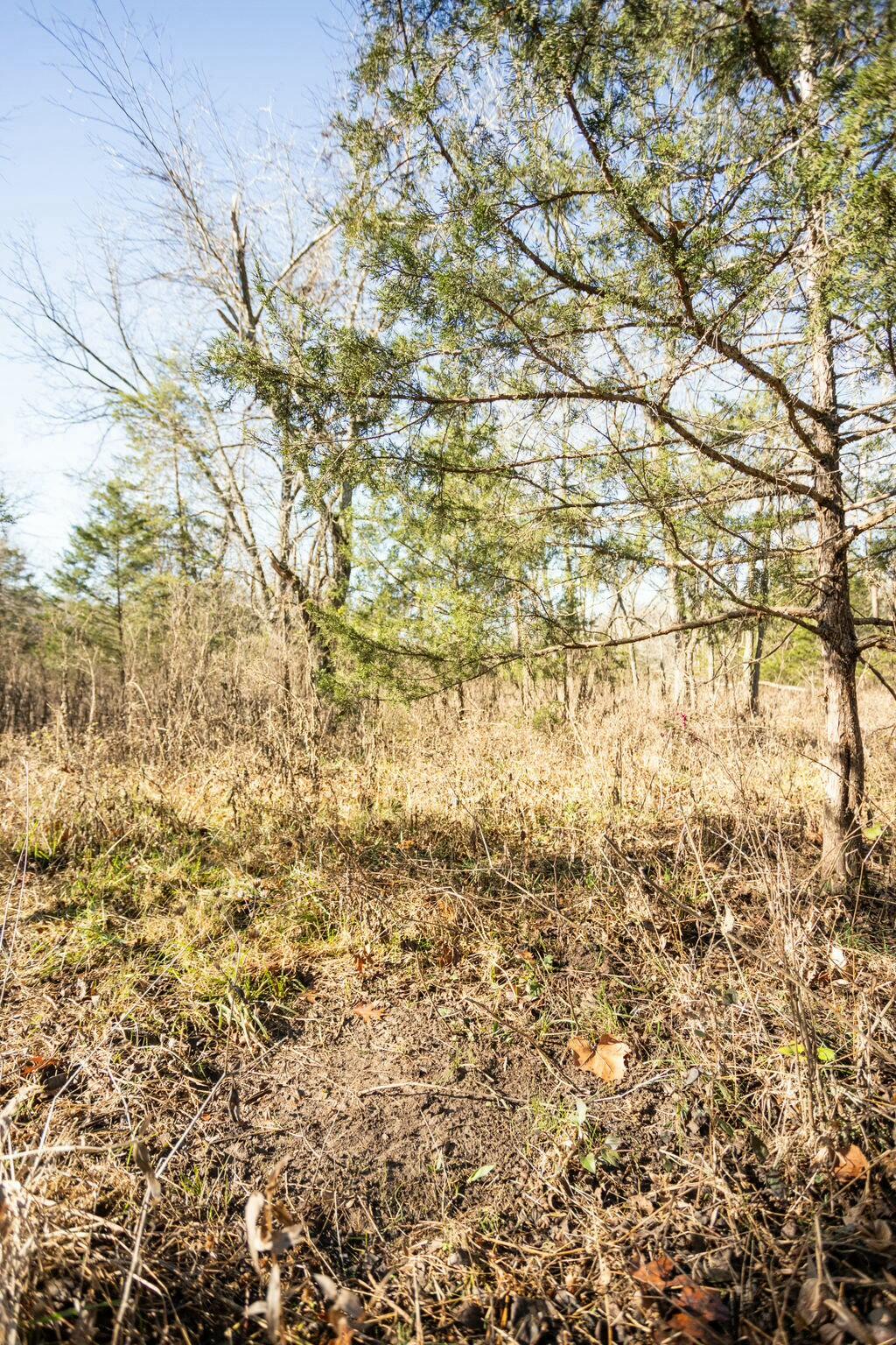 000 County Road A-100 Property Photo 16