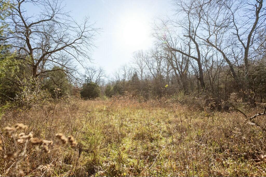 000 County Road A-100 Property Photo 20