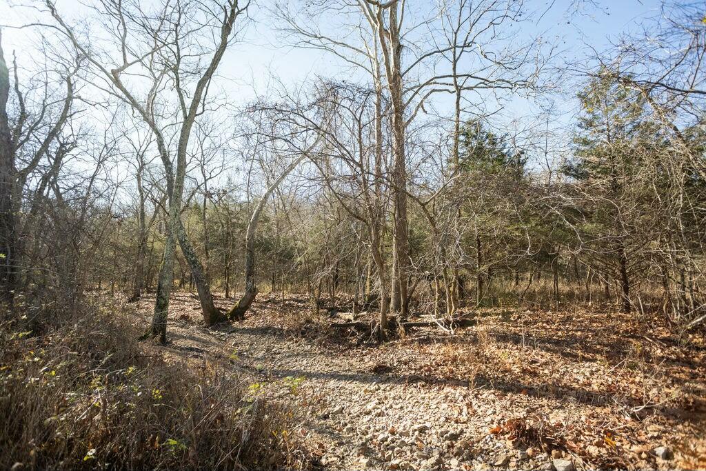 000 County Road A-100 Property Photo 21