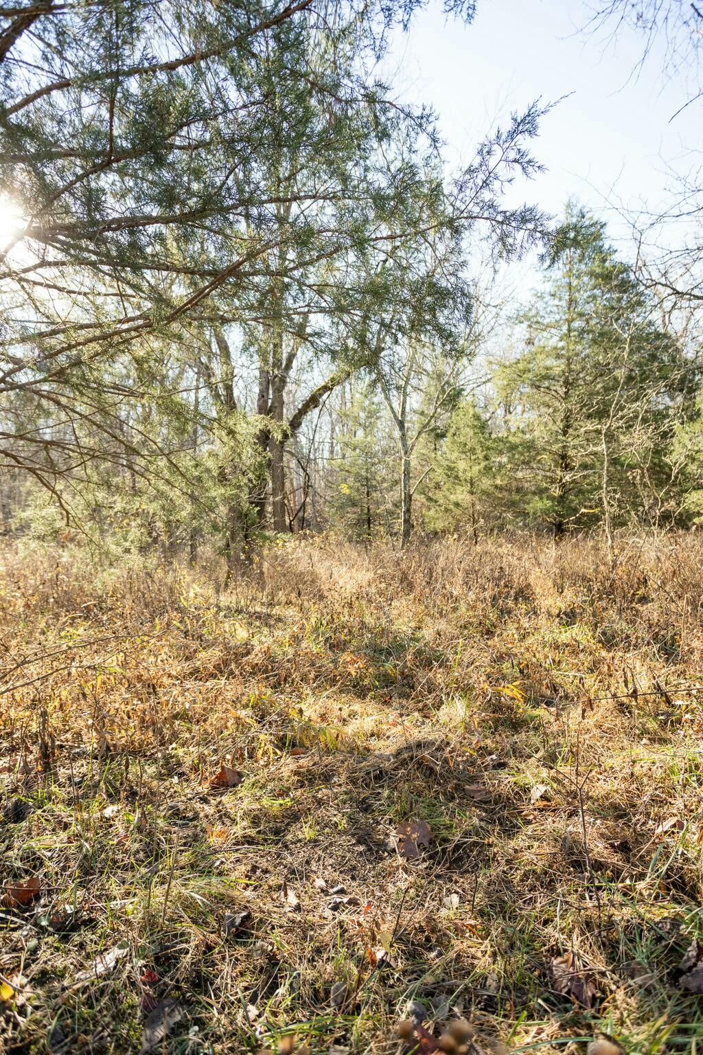 000 County Road A-100 Property Photo 22