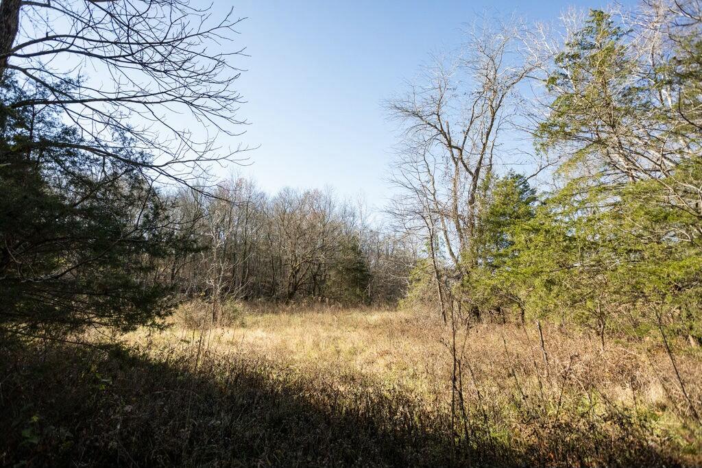 000 County Road A-100 Property Photo 23