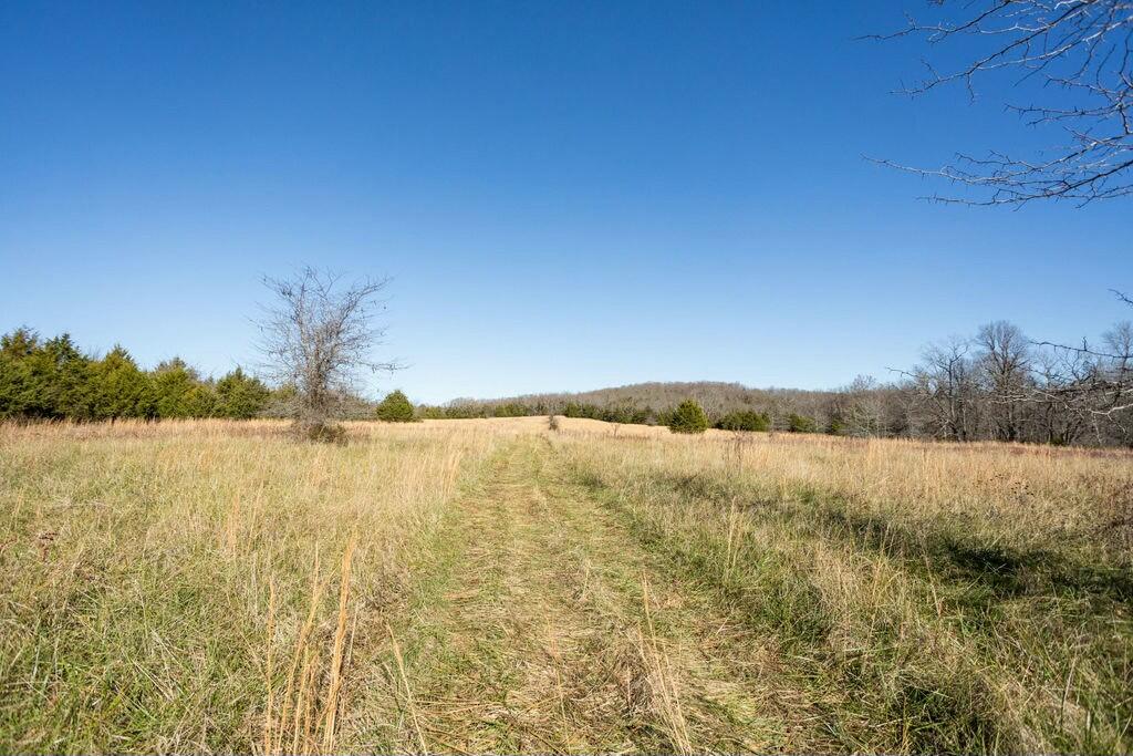 000 County Road A-100 Property Photo 24