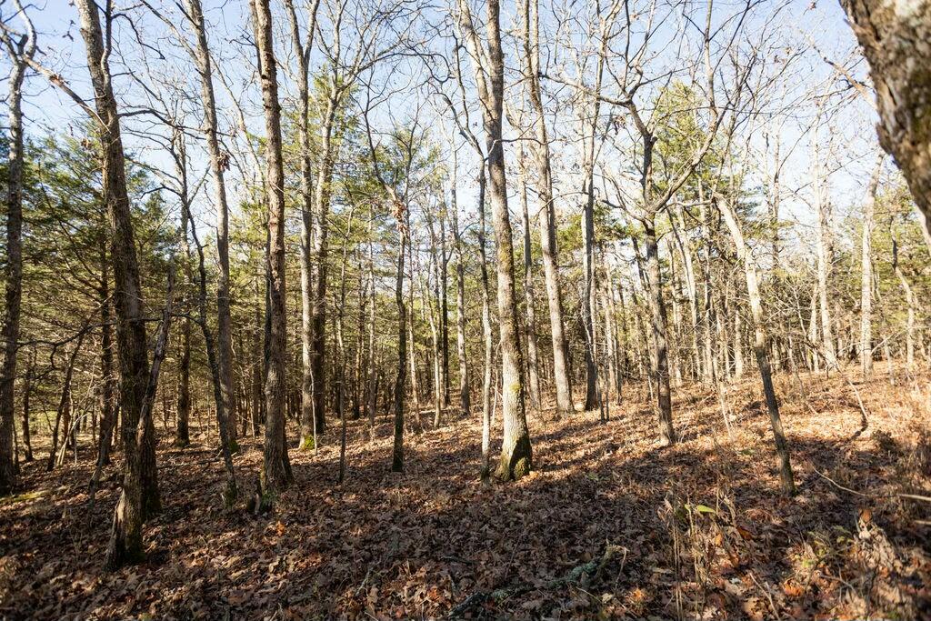000 County Road A-100 Property Photo 25