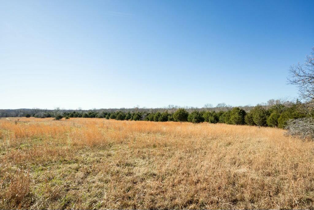 000 County Road A-100 Property Photo 27