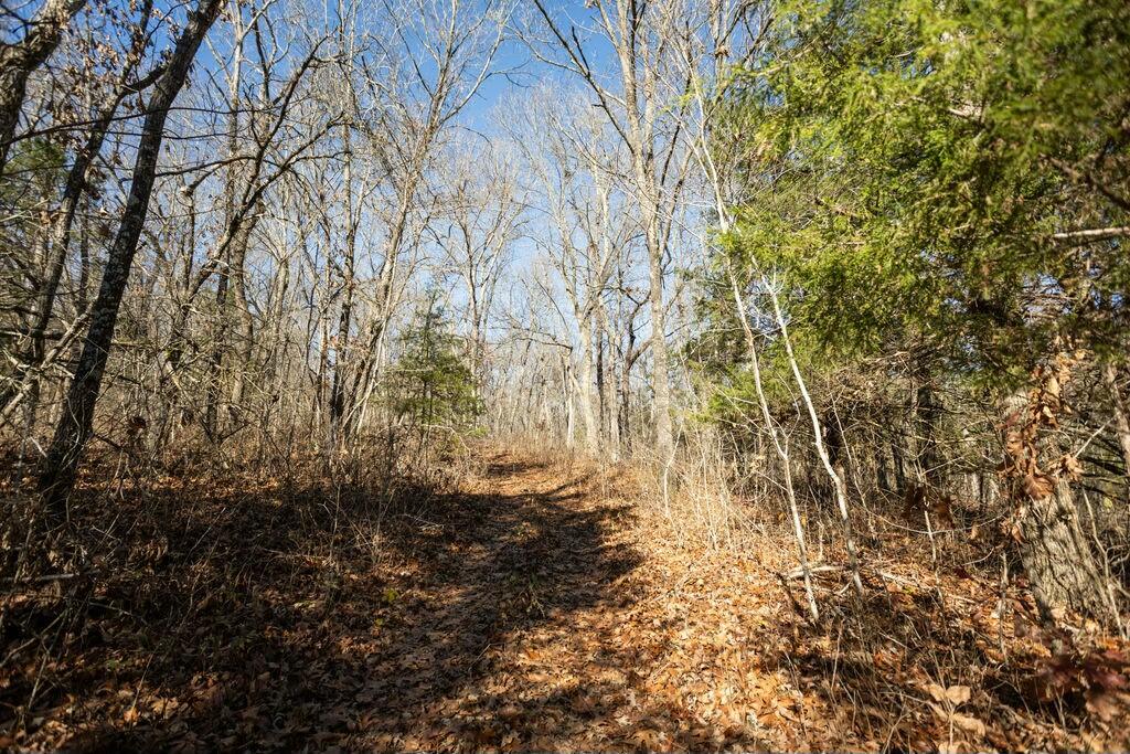 000 County Road A-100 Property Photo 29